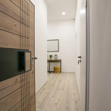 Deluxe Antonio Apartment *